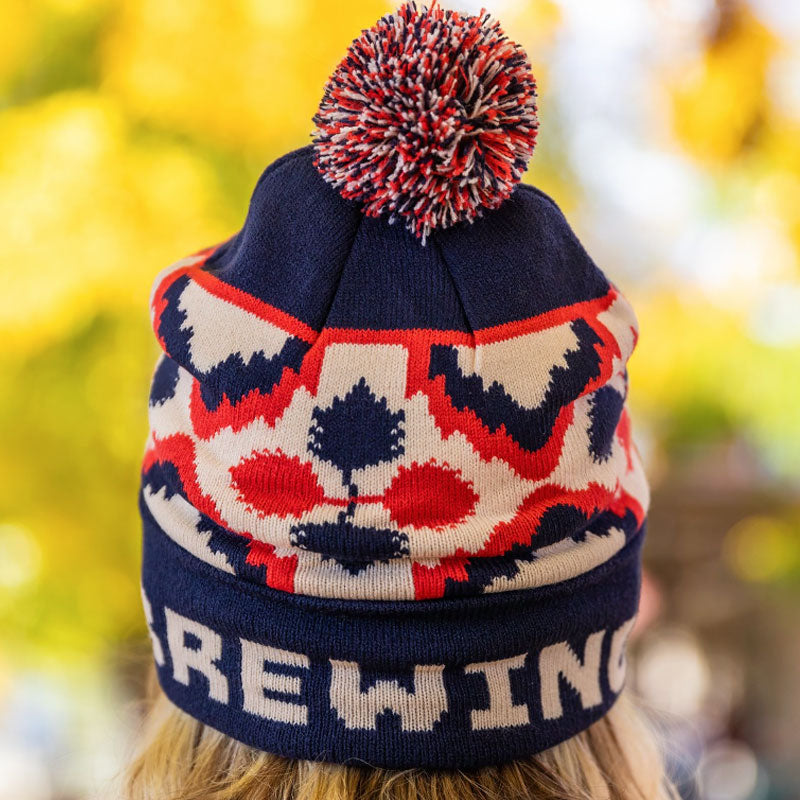 Pom Beanie - Nordic image 2