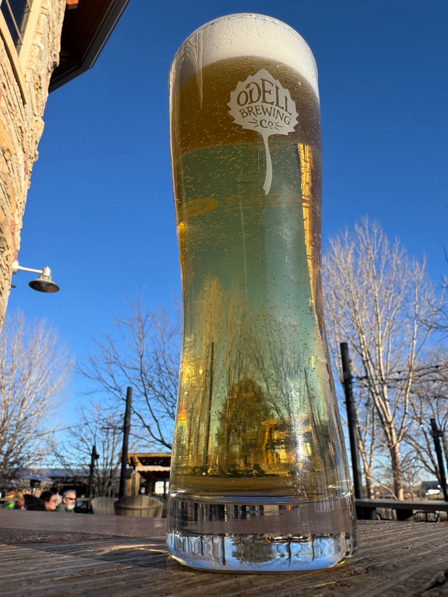 16 oz. Pilsner Glass